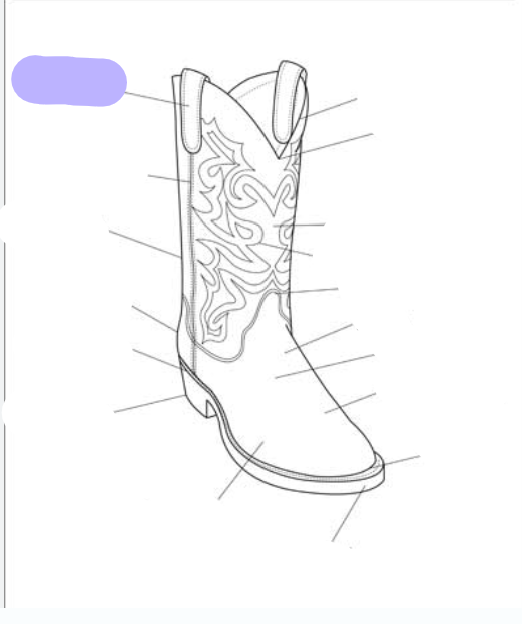 <p>What part of the boot is this? (labeled in purple)</p>
