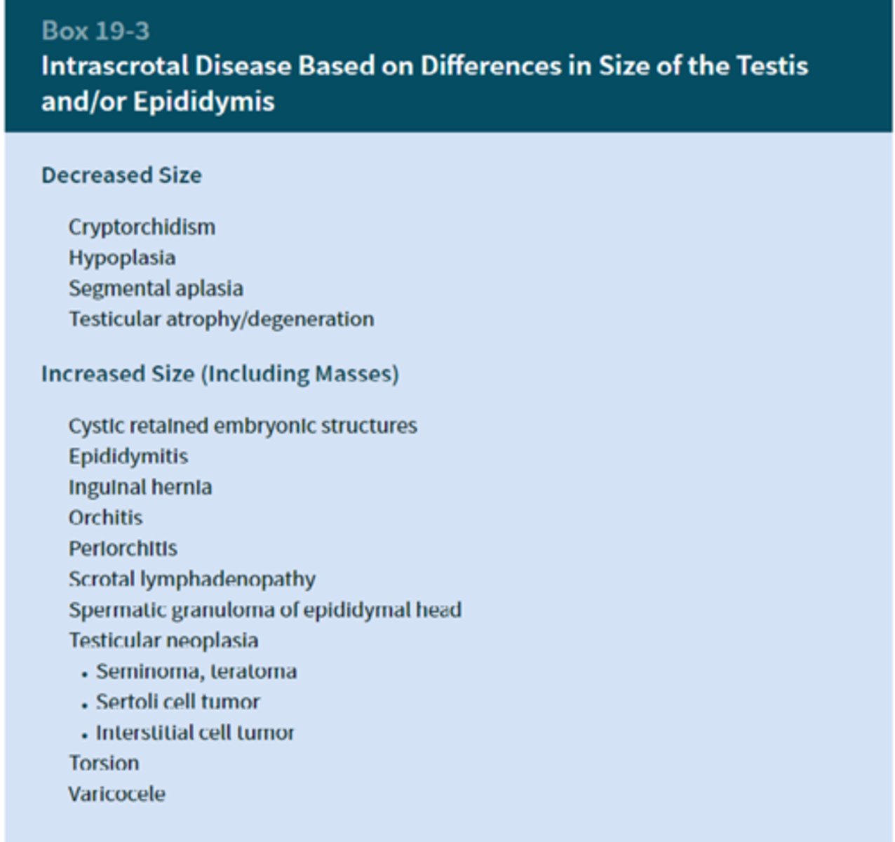 <p>- Developmental anomalies</p><p>- Degeneration</p><p>- Inflammation</p><p>- Neoplasia</p><p>OR</p><p>class them as an increase in size or decrease in size</p>