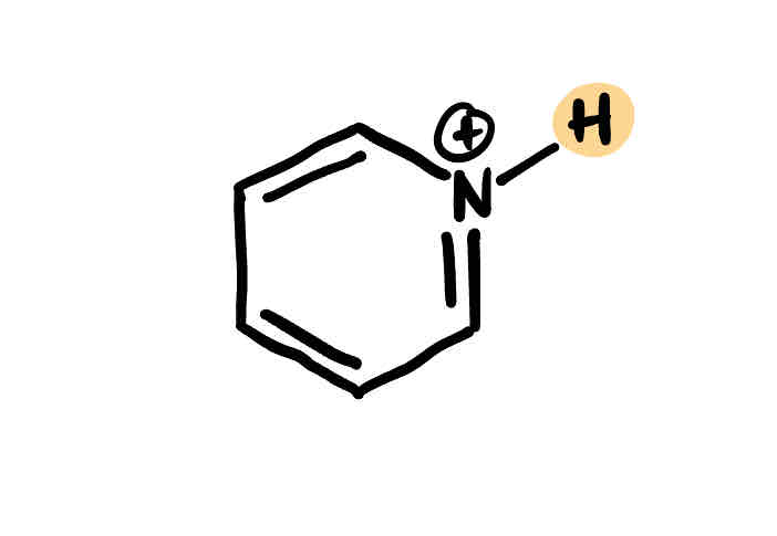 <p>Pyridinium</p>