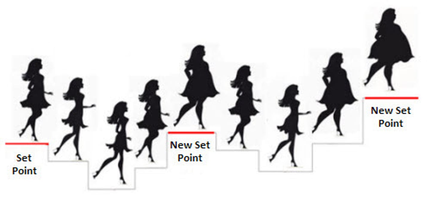 <p>the point at which an individual's "weight thermostat" is supposedly set</p><p>- when the body falls below this weight, an increase in hunger and a lowered metabolic rate may act to restore the lost weight</p><p>- takes months-years to challenge this</p>