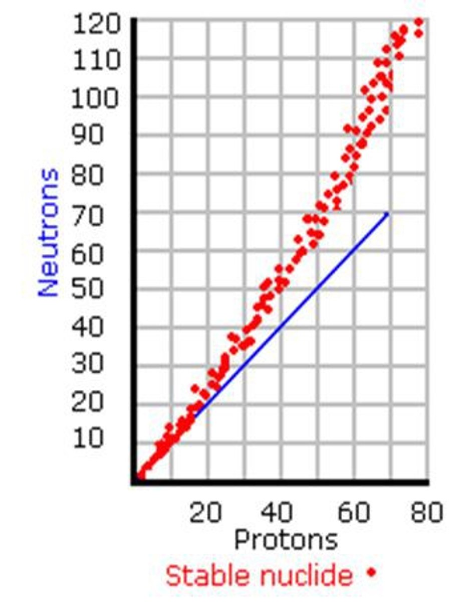 <p>the ratio of protons to neutrons</p>