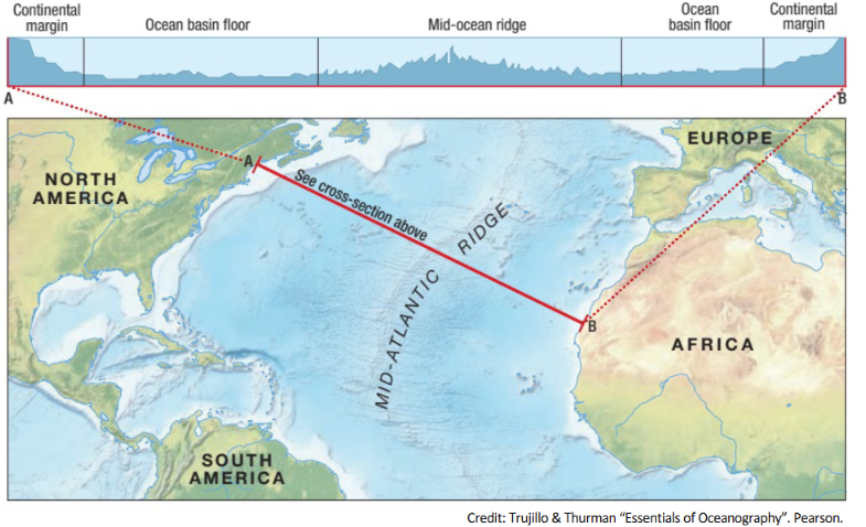 <p>Continental margins, deep-ocean basins and mid-ocean ridges</p>