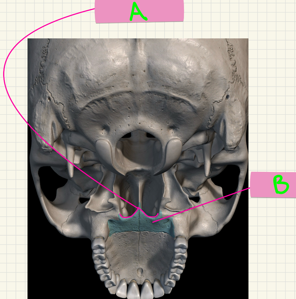 <p>What’s A-B?</p>