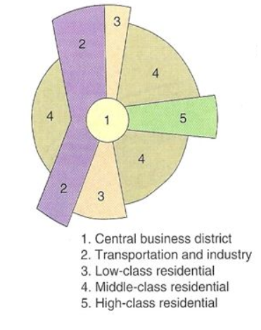 <p>Land Use Pattern</p><ul><li><p>Uses CBD as the center point, however has focused more on transportation</p></li></ul><p>Difference: Business locate near transport routes to have easy access to customers</p><p>Outdated because the suburbs, boom burbs, and edge cities caused business to locate in different places.</p>