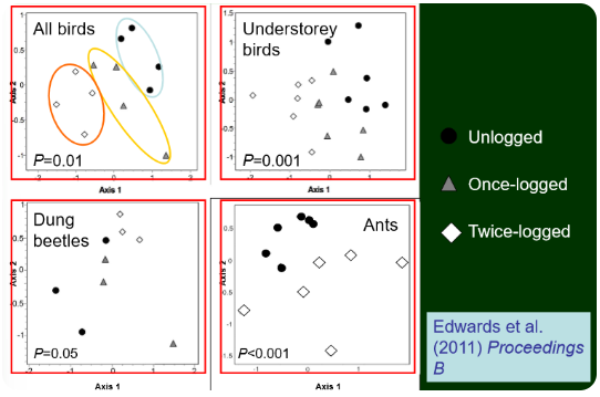 <ul><li><p>ordination plot- the points closer together have a similar composition of species</p><p>→ significant difference in all birds composition in each type of forest, similar pattern in all, greater shift in once-logged to twice-logged</p></li></ul><p></p>