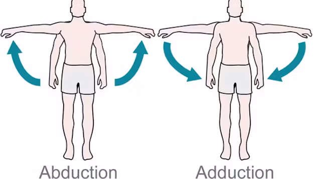 <ul><li><p>Abduction (away): Moving away from the midline </p><ul><li><p>e.g. moving your arms away from your body</p></li><li><p>spreading fingers apart </p></li></ul></li><li><p>Adduction (towards): Moving towards the midline </p><ul><li><p>e.g. moving arms toward your body </p></li></ul></li></ul><p></p>