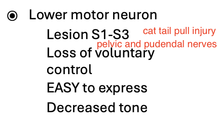 <p>-loss of voluntary control</p><p>-easy to express bladder</p><p>-decreased tone</p><p>-residual volume is higher than UMN bladder</p>