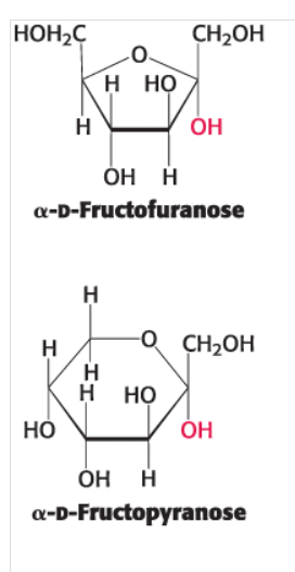 <p>hydroxyl groups attached to C-1 below the plane of the ring </p>
