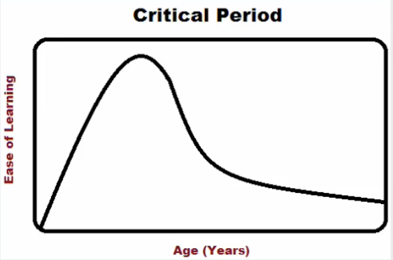 <ul><li><p><strong>Definition: </strong>An age range (or developmental period) at which specific experiences are vital for development to occur in a</p><p class="p1">typical way.</p><ul><li><p class="p1"><strong>Language</strong>: The critical period for language development is from infancy to</p><p class="p1">puberty</p></li></ul></li><li><p><strong>Example: </strong><em>Second language acquisition (SLA)</em></p><ul><li><p>People who learn a second in childhood sound similar to native speakers of the second language.</p><ul><li><p>This isn't the same for those who learn a second language later.</p></li></ul></li></ul></li></ul><p></p>