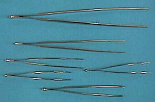 <p>are available in various lengths, with or without teeth, and smooth or serrated jaws.</p>