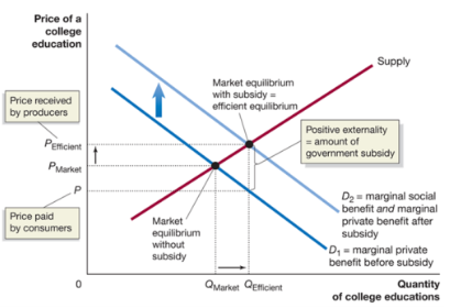 <p>amounts paid to producers of consumers to encourage the production of consumption of a good</p><ul><li><p>may solve the problem of positive externalities</p></li><li><p>consumers will internalize the externality, demand curve shifts right, and equilibrium price and output increase</p></li></ul><p></p>