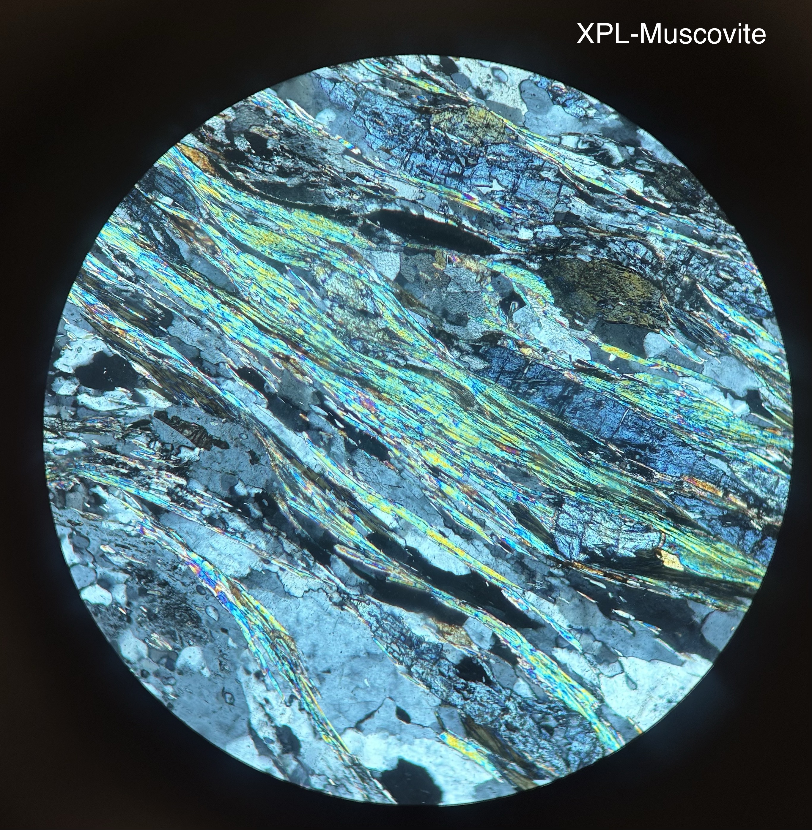 <p>KAl2(AlSi3O10)(OH2)</p><p>PPL-colorless, cleavage planes become fainter/bolder with stage rotation, elongated</p><p>XPL-bright interference colors</p>
