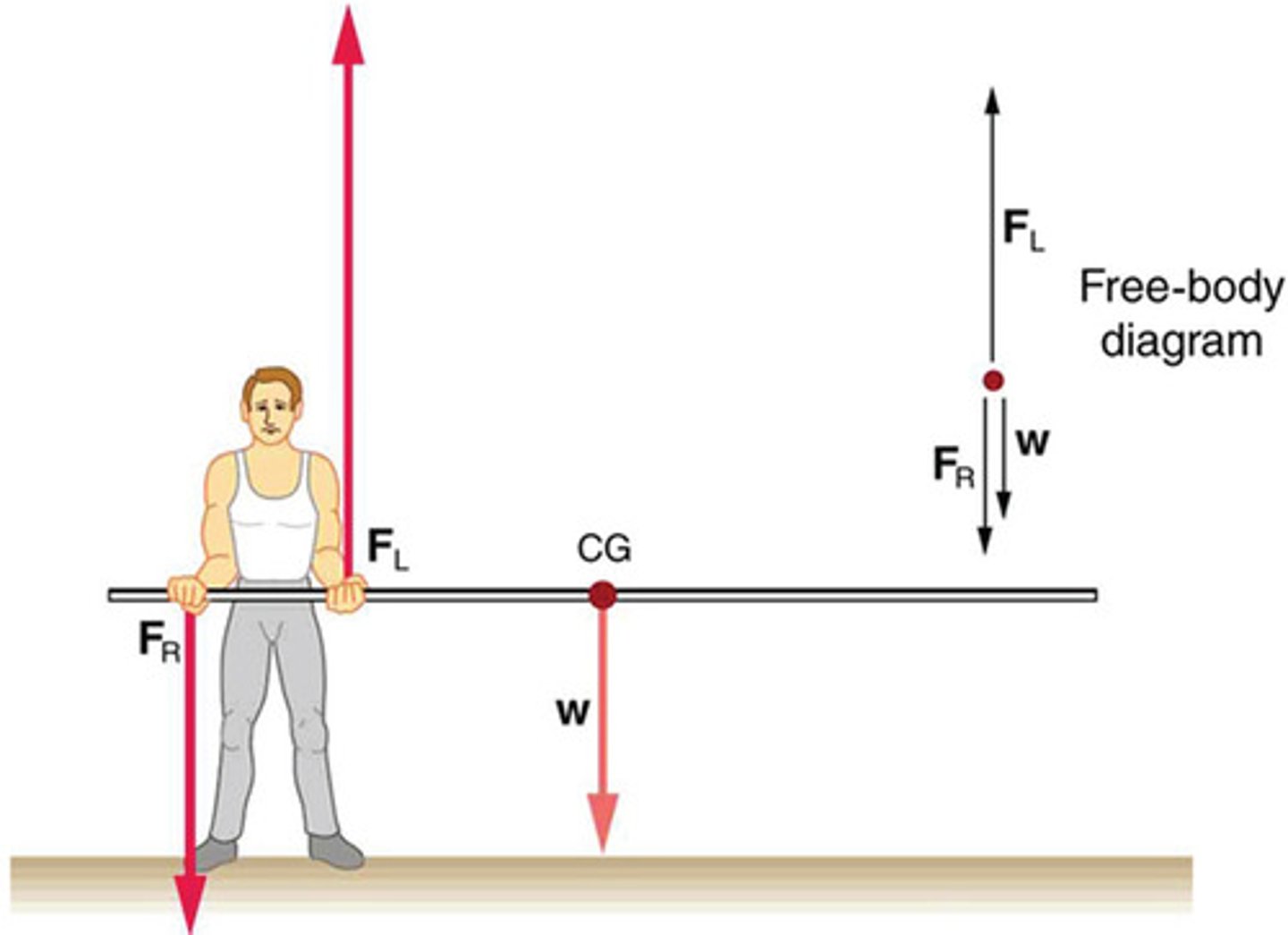<p>A graphical representation used to visualize the forces acting on a system, showing their relative magnitudes, directions, and points of application.</p>