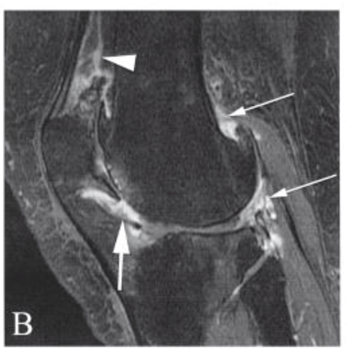 <p>Define the pathology.</p>
