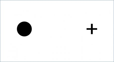 <p>Hold the diagram about 20in from face with left eye closed. focus on circle lined up with right eye. Slowly bring page closer to face until cross disappears. Then move until cross reappears. Repeat with left eye</p>