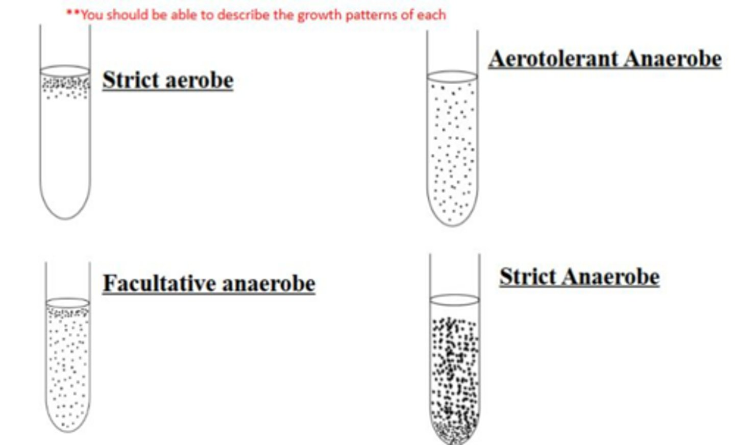 <p>FTG tubes are used to test for oxygen requirements in microorganisms.</p>