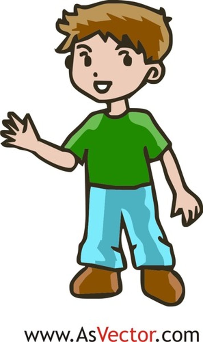 <p>the boy</p>