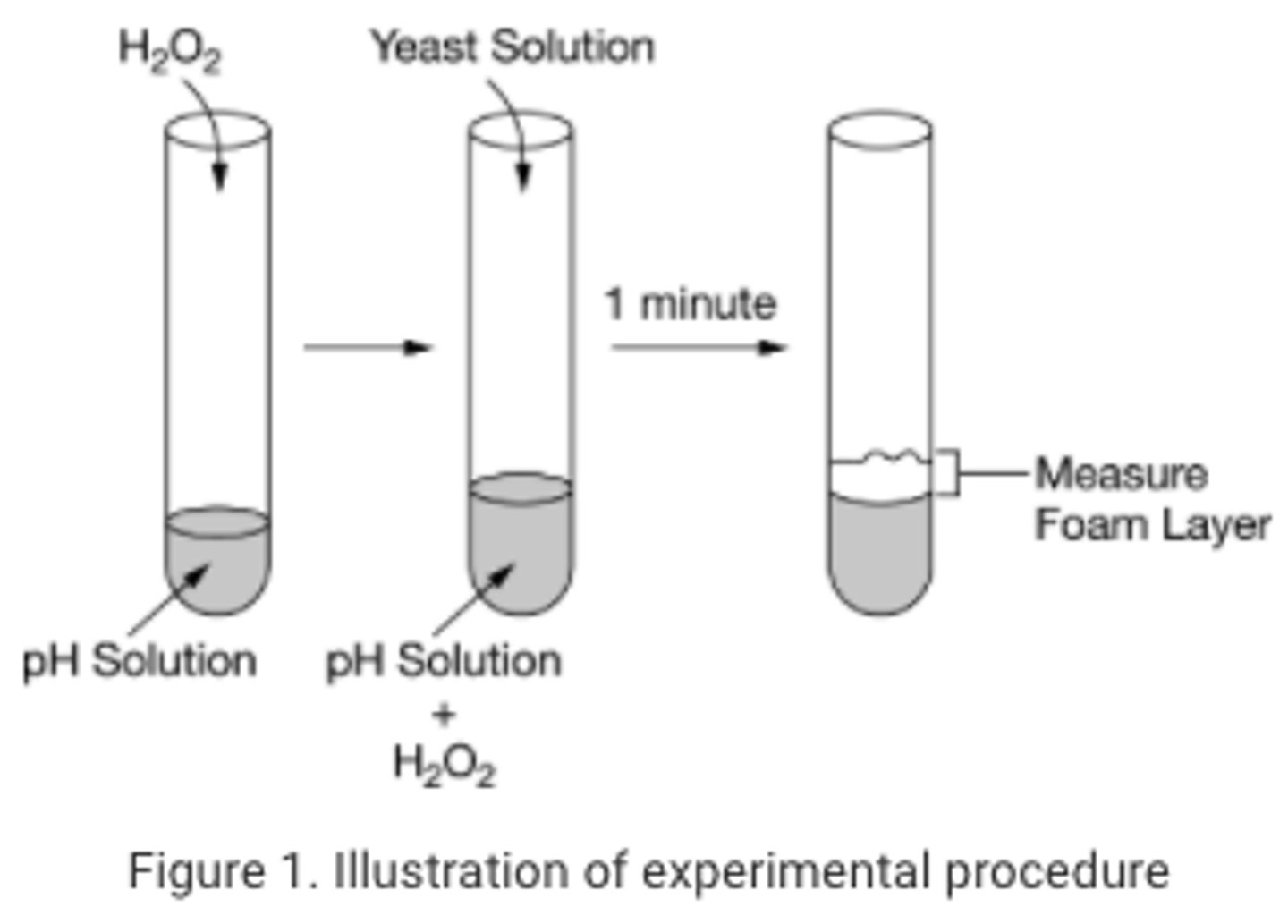 <p>pH 4 buffer solution and hydrogen peroxide only</p>