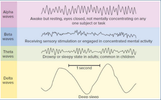 <p>Deep sleep, stage 3</p>