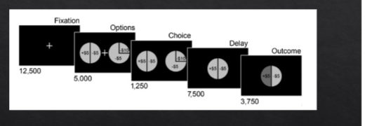 <ul><li><p>gave subjects $100</p></li></ul><ul><li><p>On each trial, they face <strong>50% chance to win or lose $5</strong> (a simple gamble).</p></li><li><p>The task focuses on brain activity during the <strong>outcome phase</strong> (when participants find out if they won or lost).</p></li><li><p>Purpose: see whether <strong>nucleus accumbens activity</strong> behaves like an RPE signal (consistent with the 3 axioms)</p></li></ul><p></p><ul><li><p>When the outcome is <strong>better than expected</strong> (win $5):</p><ul><li><p>dopamine-related regions (nucleus accumbens) should <strong>increase activity</strong> → positive RPE.</p></li></ul></li><li><p>When the outcome is <strong>worse than expected</strong> (lose $5):</p><ul><li><p>activity should <strong>decrease</strong> → negative RPE.</p></li></ul></li><li><p>When outcomes are <strong>fully predictable</strong>, activity should flatten → zero RPE.</p></li></ul><p></p>