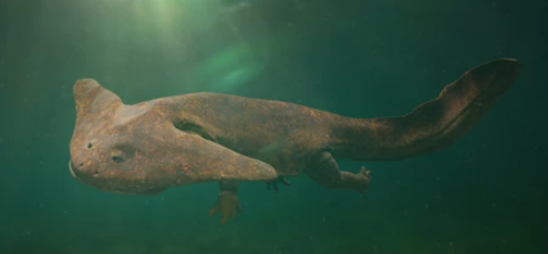 Lepospondyl (360-275 mya)