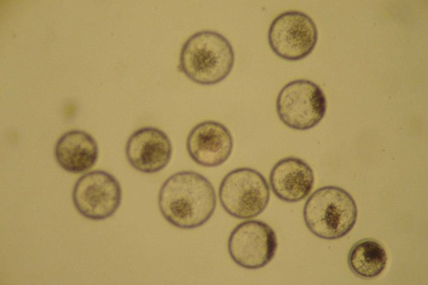 <p>Involves techniques like A.I. and embryo transfer.</p>