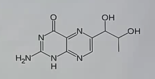 <p>_ is a cofactor for aromatic AA hydroxylase enzymes</p>