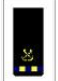 <p>One gold 1/4-inch stripe with three blue breaks below a specialty insignia</p>