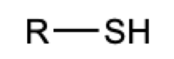 <p>Naming</p>