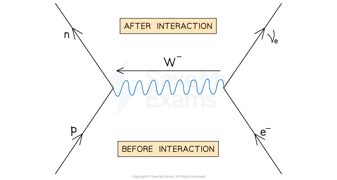 <p><span>Electron-proton collision - Transfer W<sup>- </sup>boson</span></p><p>During electron-proton collision:</p><ul><li><p>An electron collides with a proton and decays into a neutron and W<sup>−</sup>&nbsp;boson</p></li><li><p>Then, the interaction between the electron and W<sup>−</sup>&nbsp;boson forms an electron neutrino</p></li></ul><p></p>