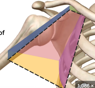 <p>?</p>