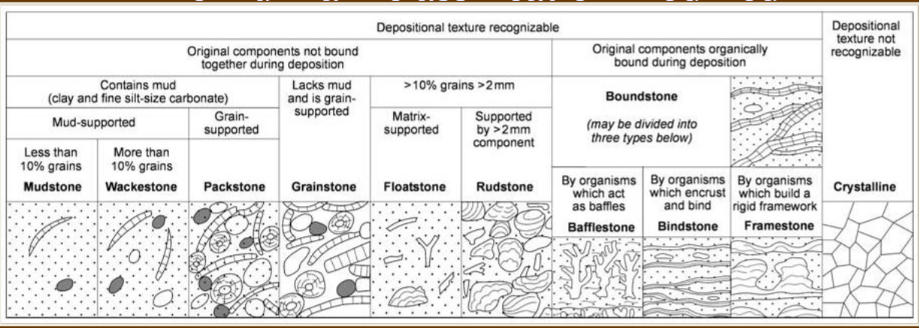 <p>Modified to provide niches for limestones that contain allochems coarser than 2 mm. </p><p>Matrix supported rocks like these are floatstones, grain supported are rudstones</p>