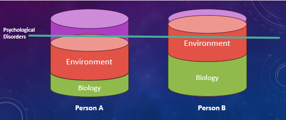 <p>Biological vulnerability interacts with environmental stress to produce mental disorders</p>