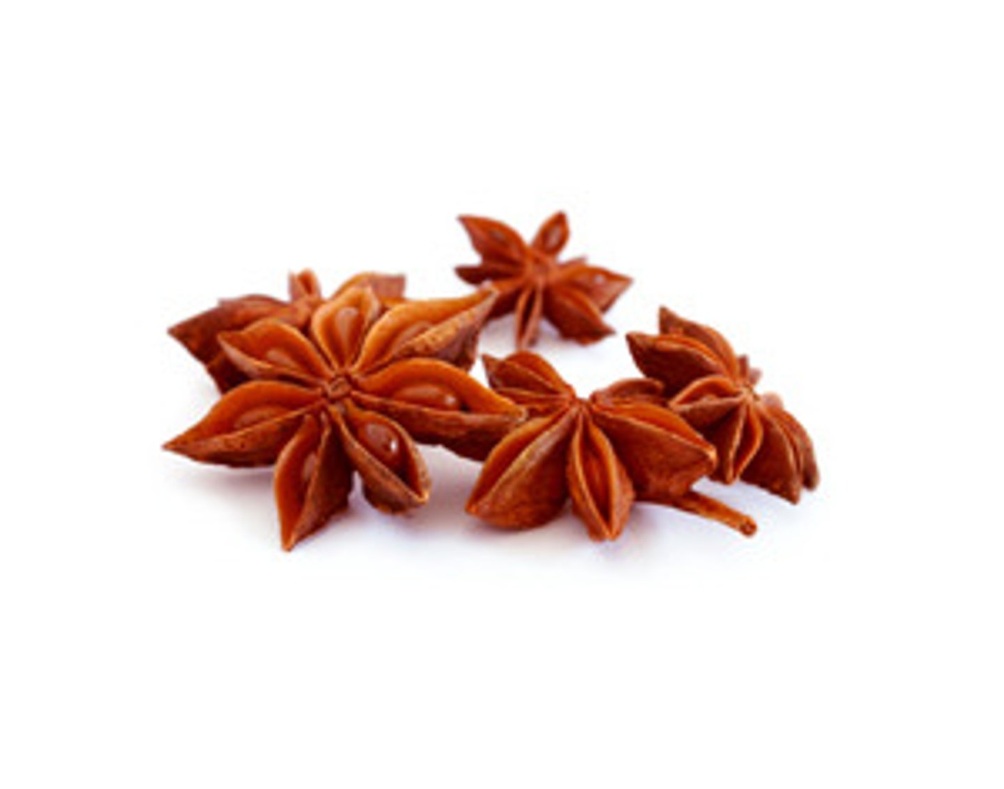 <p>(dà liào) star anise (Chinese spice)</p>