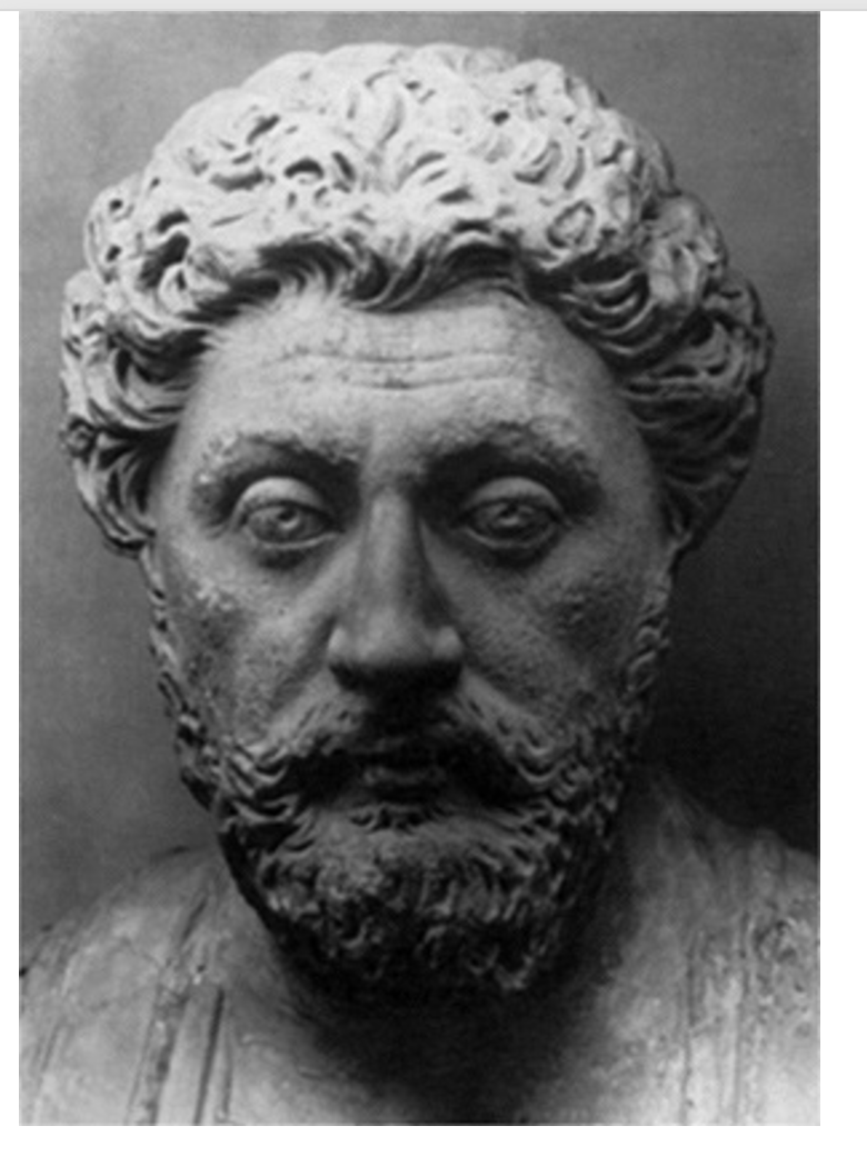 <p>Bust of Marcus Aurelius </p>