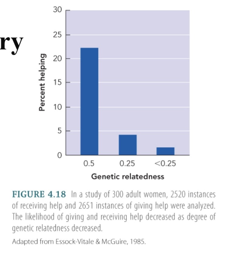 <p>If theory true wE should help fam more and this is fact there is a positive relation</p>