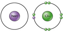 <p>molecule</p>