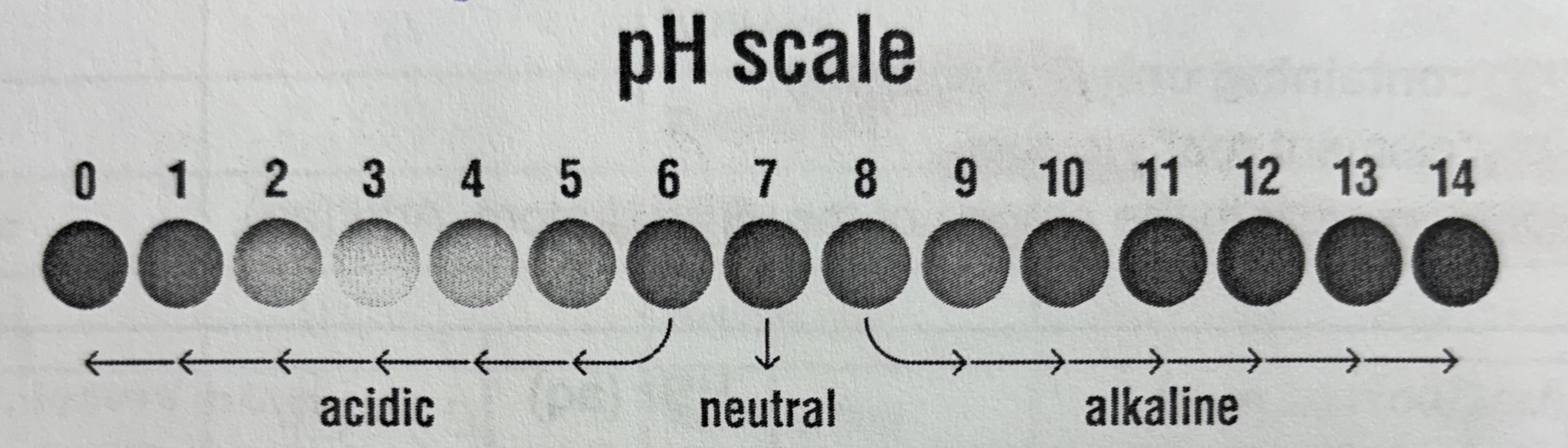 <p>logarithmic, for every change in 1 pH concentration changes by 10x</p><ul><li><p>ph 2 to 1 substance has 10x <strong>higher</strong> H+ concentration</p></li><li><p>ph 7 to 9 substance has 100x <strong>lower</strong> H+ concentration</p></li></ul>