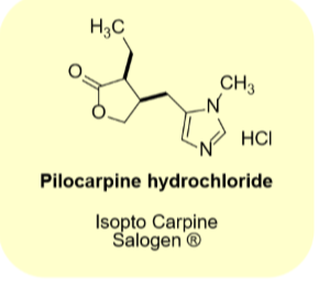 <p>•Natural product</p><p>•M3 receptor selective agonist</p><p>•Penetrates the eye well</p><p>•Use: Glaucoma</p><p>•Use: dry mouth due to radiation therapy</p><p>•Tablet, opthalmic solution, gel</p>