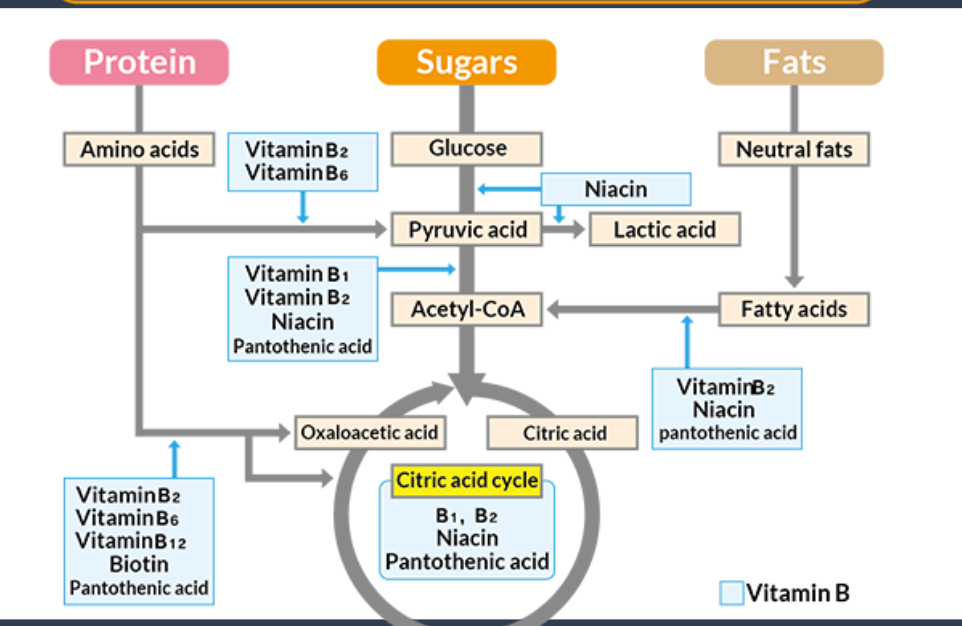 <p>this graph depicts what</p>