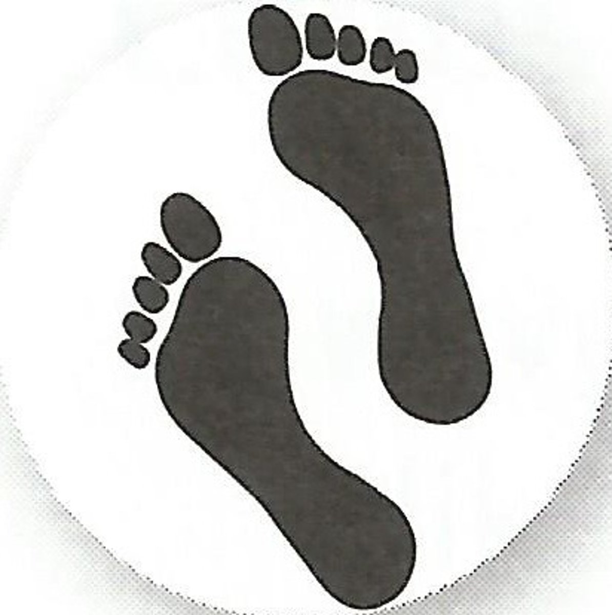 <p>Step (n) (v) /step/</p>