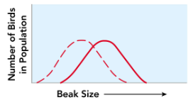<p>This is an example of?</p>