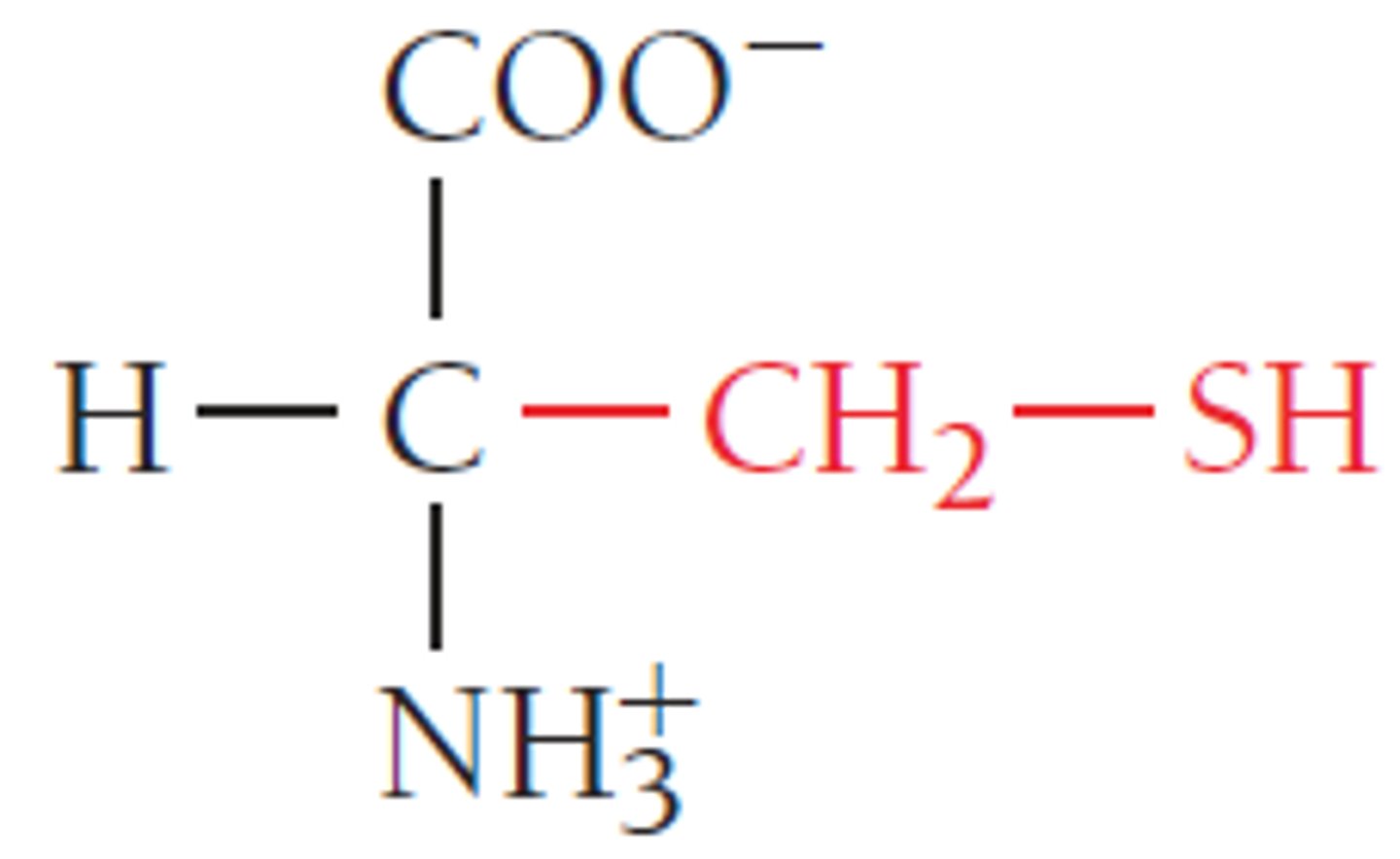 <p>strong chemical side bond that joins the sulfur atoms of two neighboring cysteine amino acids to create one cystine, which joins together two polypeptide strands like rungs on a ladder.</p>