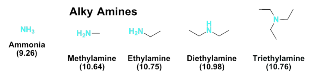 <p>Depending on whether it is primary, secondary or tertiary </p><p>Tertiary makes the conjugate acid more stable </p>