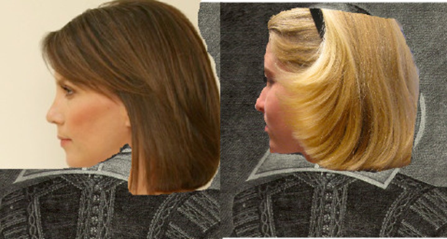 <p>they are (female)</p>