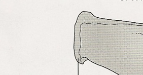 <p>point of hip </p>