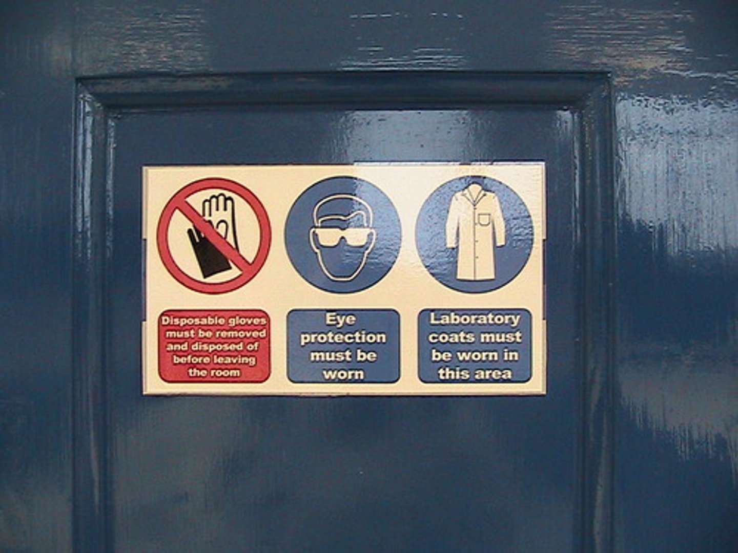 <p>No eating food, or drinking beverages allowed.</p><p>No horseplay allowed.</p><p>Always tie your hair up before using fire in an experiment. (There are many others you can use as well.)</p>