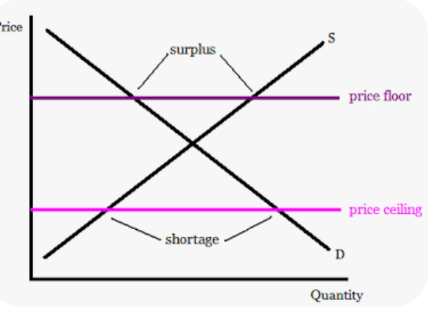 <p>Ceiling- below equilibrium, can lead to shortage</p><p>Floor- minimum wage, can lead to surplus</p>