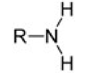 <p>amine (NH2)</p><p>-amine</p>