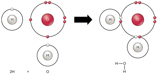 <p>the force of attraction that holds atoms together as a result of the reagargenment of electrons between them.</p>